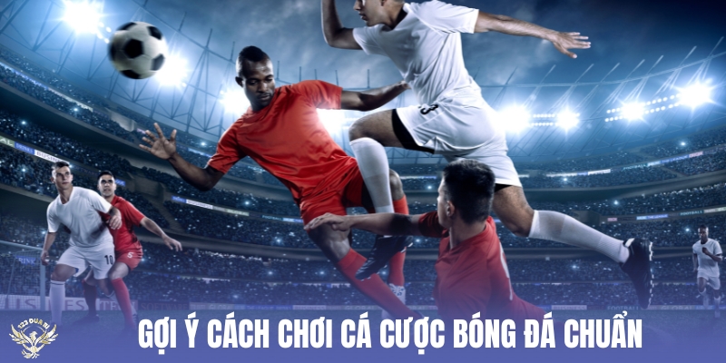 gợi ý cách chơi cá cược bóng đá chuẩn