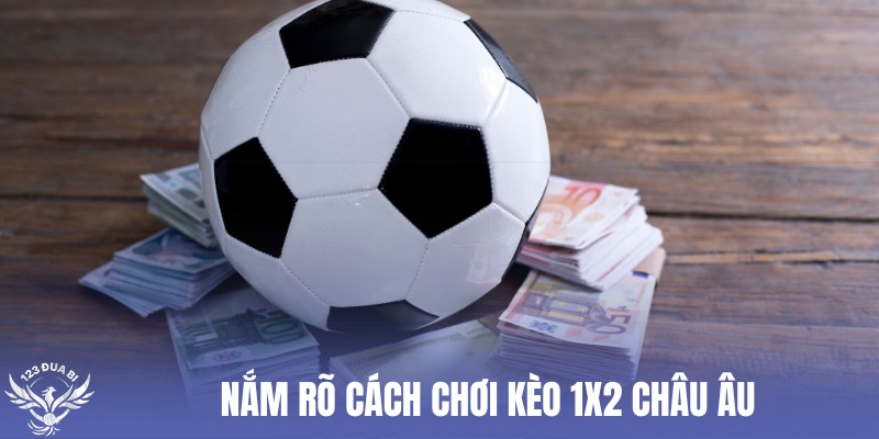 hướng dẫn đọc kèo châu âu nhà cái