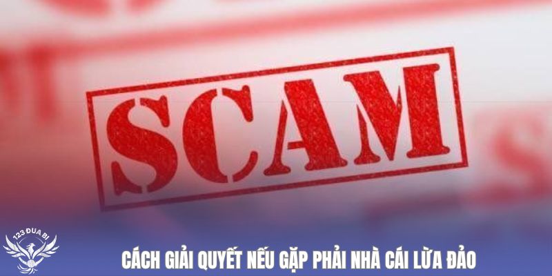 khắc phục nếu gặp nhà cái lừa đảo 