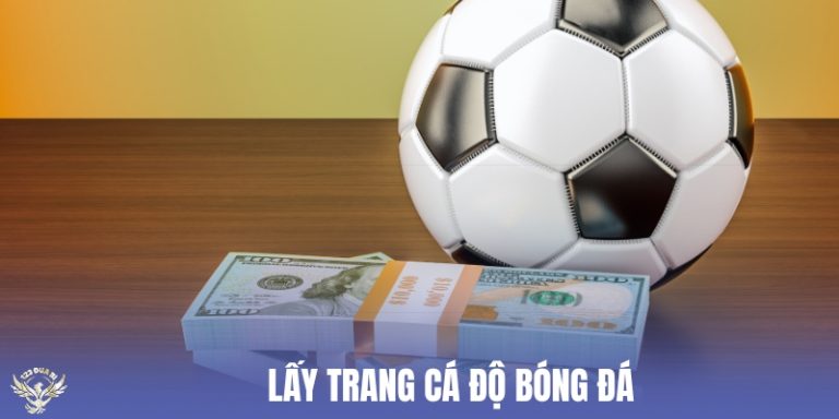 lấy trang cá độ bóng đá thumb