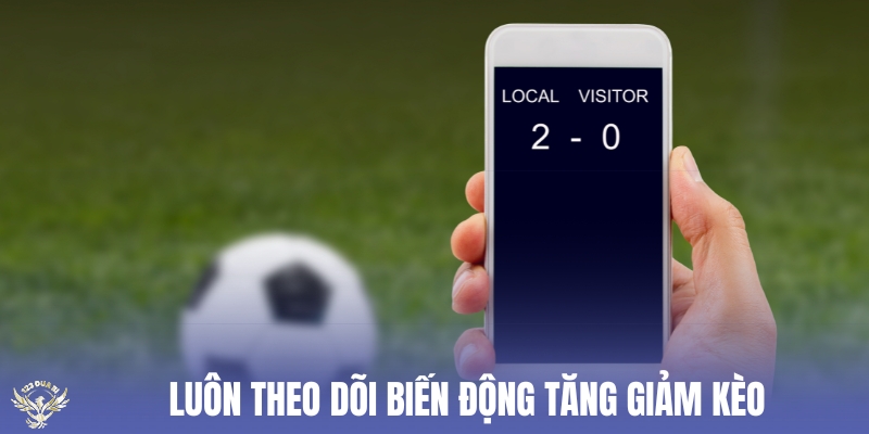 luôn theo dõi biến động tăng giảm kèo