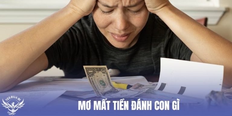 mơ mất tiền đánh con gì thumb