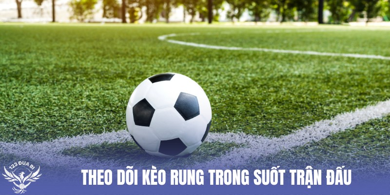 nắm bắt kèo rung trong trận đấu