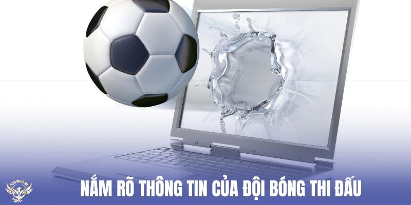 nắm rõ thông tin của đội bóng thi đấu