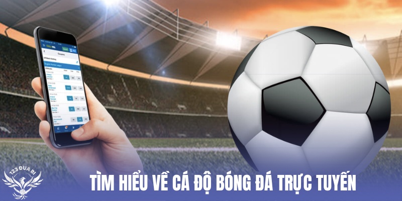 nắm rõ thuật ngữ cá độ bóng đá trực tuyến