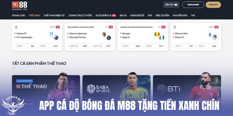 tải app m88 cá độ bóng đá uy tín về điện thoại