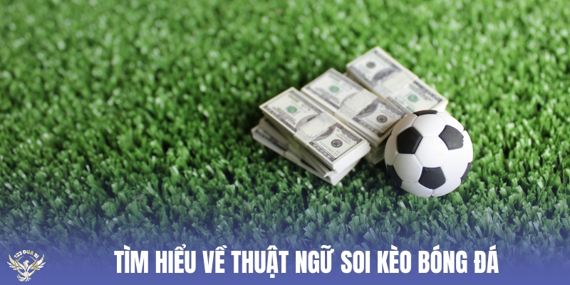 tìm hiểu về thuật ngữ soi kèo bóng đá