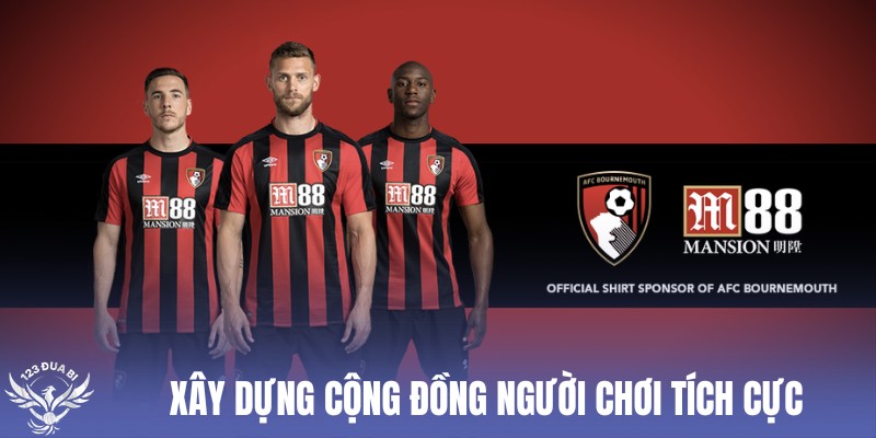 tổ chức nhiều hoạt động liên quan tới bóng đá