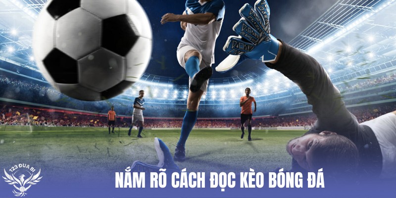 về cách đọc 3 loại kèo chính trong cá độ bóng đá